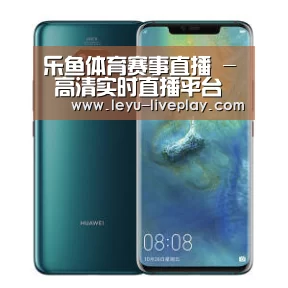华为无线快充手机