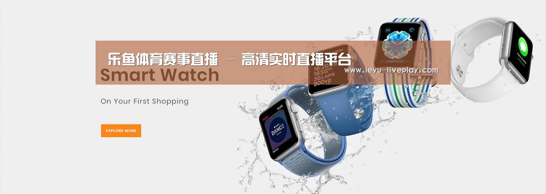 某某网络科技有限公司