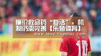 乐鱼电竞赛事